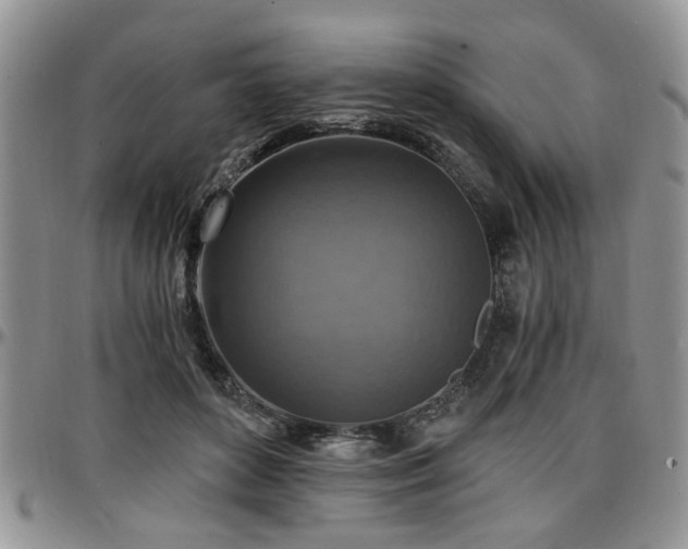 X0000097670504200802291504