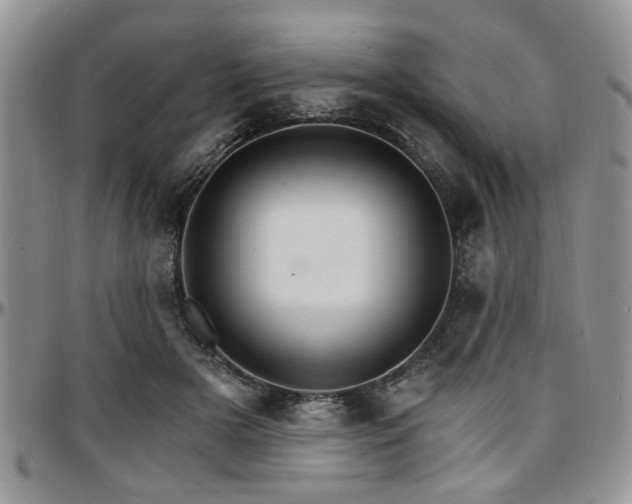 X0000097670505200802291504
