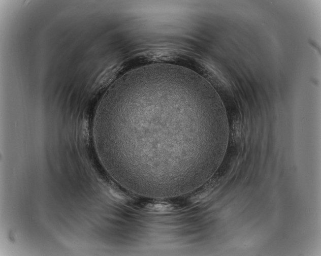X0000097670506200802291504
