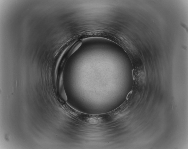 X0000097670508200802291504