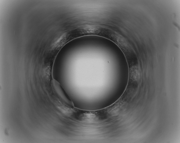 X0000097670509200802291504