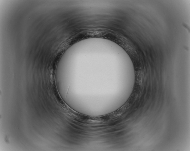 X0000097670510200802291504