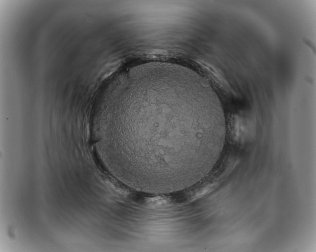 X0000097670511200802291504