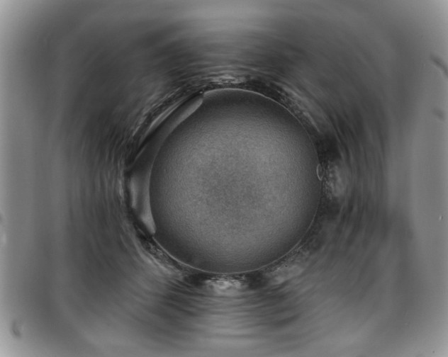 X0000097670512200802291503