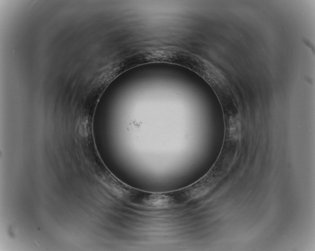 X0000097670514200802291503