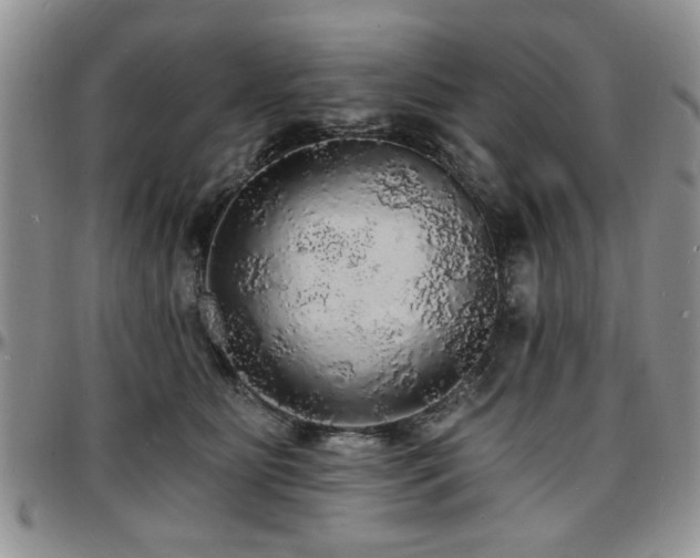 X0000097670515200802291503