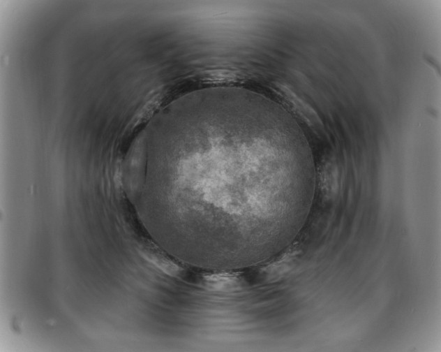 X0000097670516200802291503