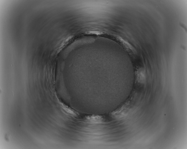 X0000097670517200802291503