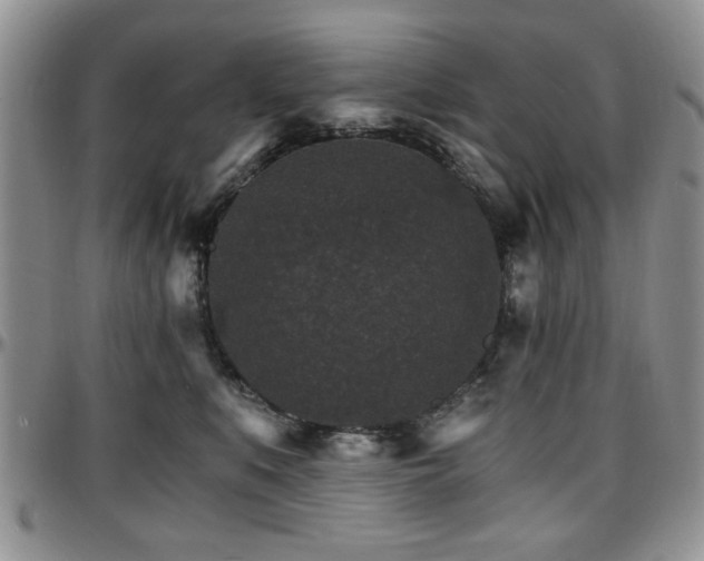 X0000097670519200802291503