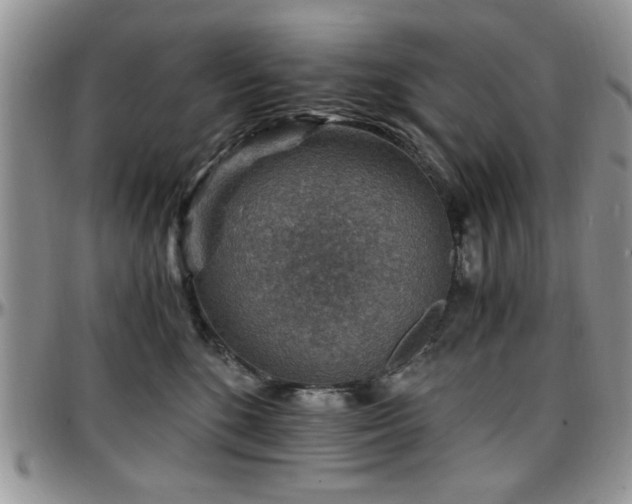 X0000097670520200802291503