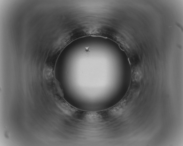 X0000097670521200802291503