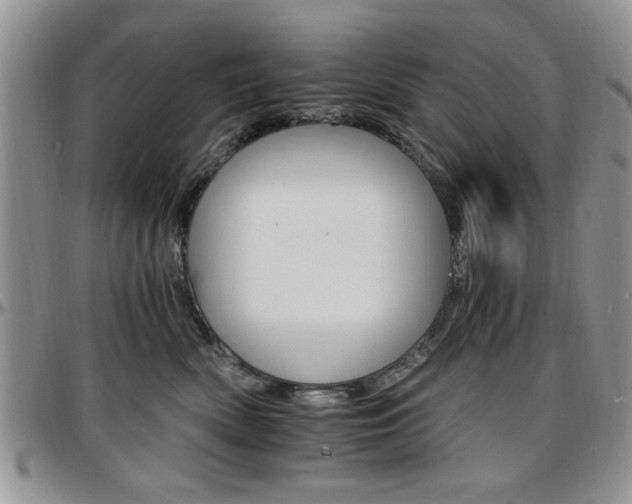 X0000097670522200802291503