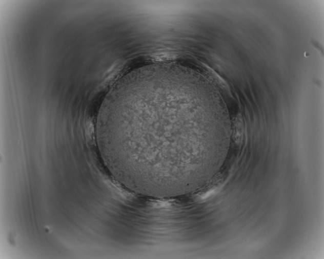 X0000097670523200802291503