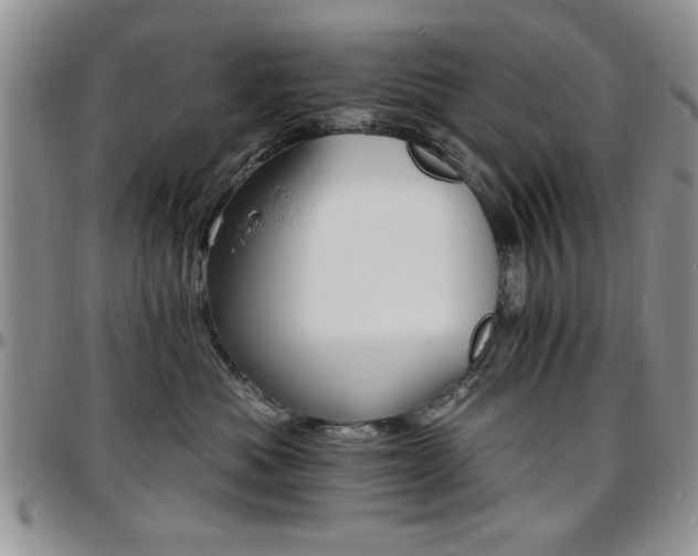 X0000097670525200802291503