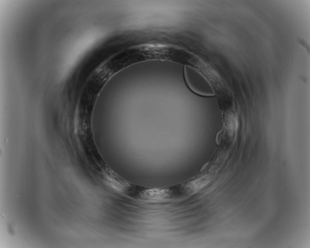 X0000097670526200802291503