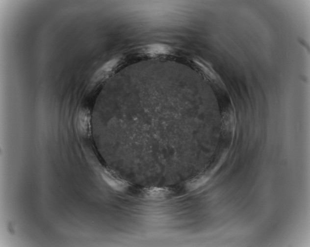 X0000097670527200802291503