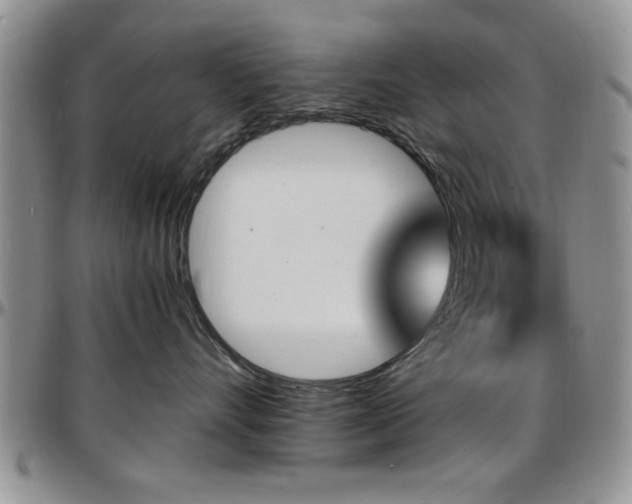 X0000097670528200802291503