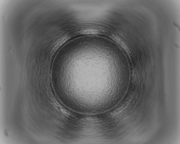 X0000097670529200802291502