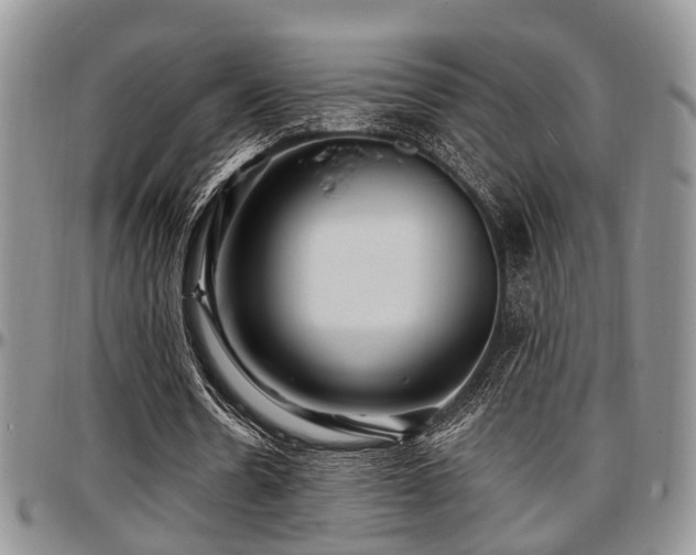 X0000097670530200802291502