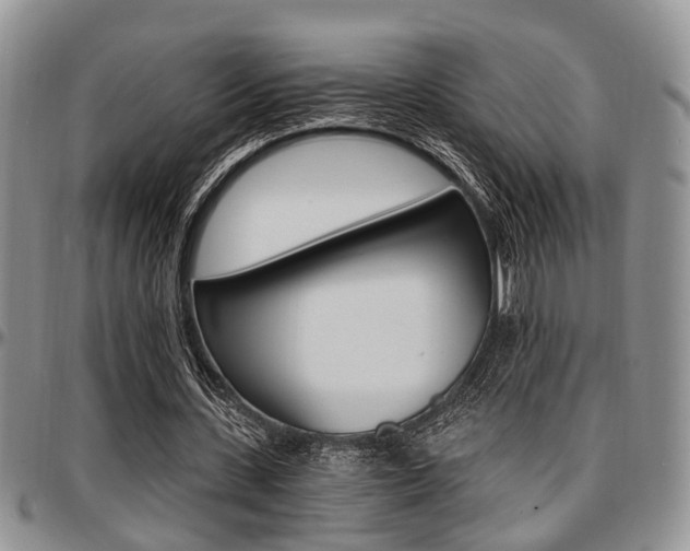 X0000097670531200802291502