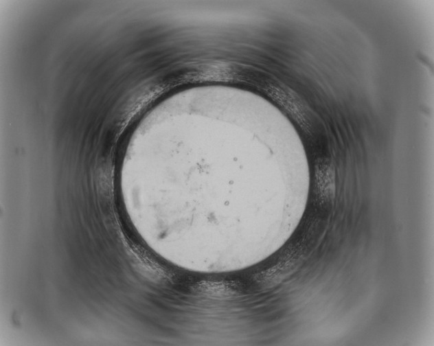X0000097670534200802291502