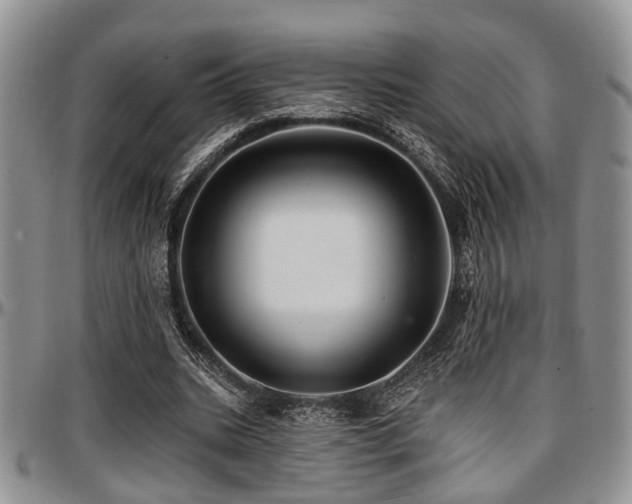 X0000097670535200802291502