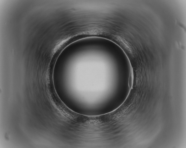 X0000097670536200802291502