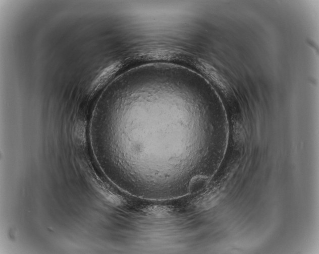 X0000097670537200802291502