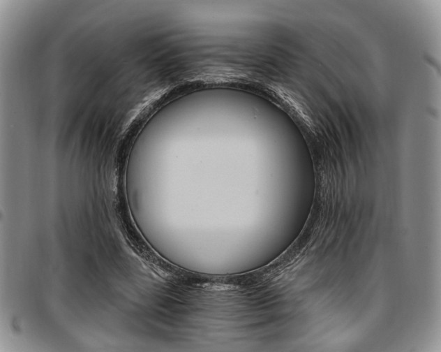 X0000097670539200802291502