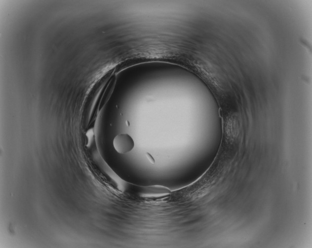 X0000097670540200802291502