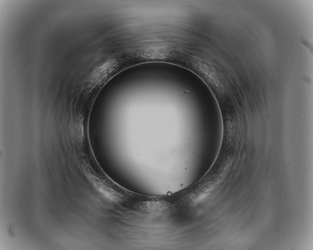 X0000097670541200802291503