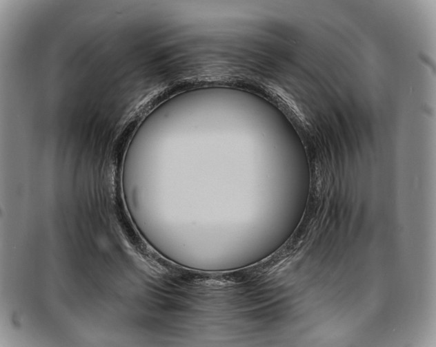 X0000097670542200802291503