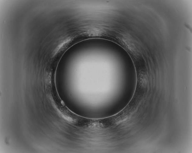 X0000097670543200802291503