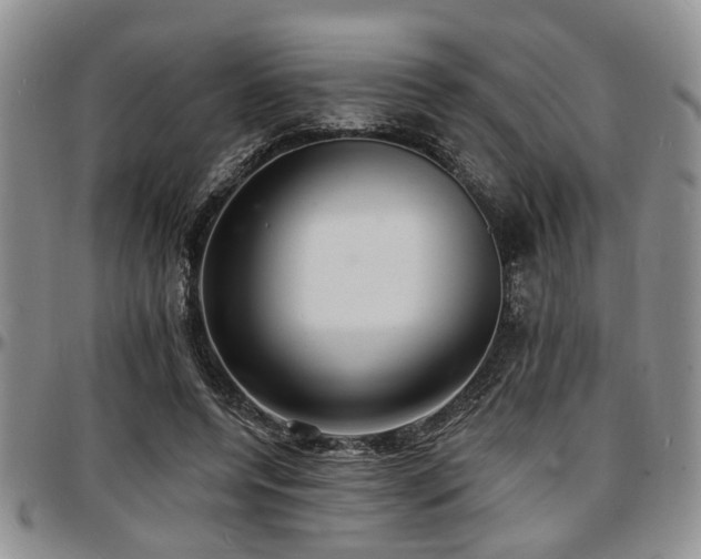 X0000097670544200802291503