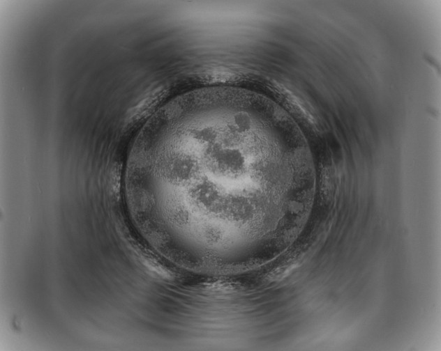 X0000097670545200802291503