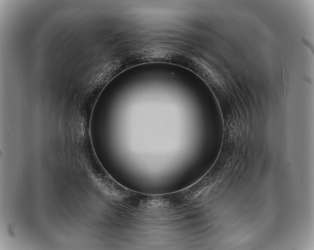 X0000097670546200802291503