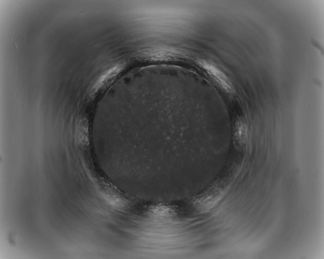 X0000097670547200802291503