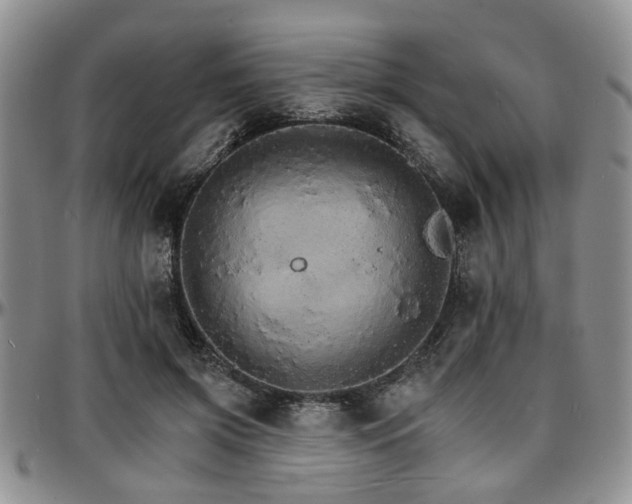 X0000097670549200802291503