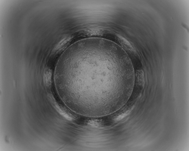 X0000097670550200802291503