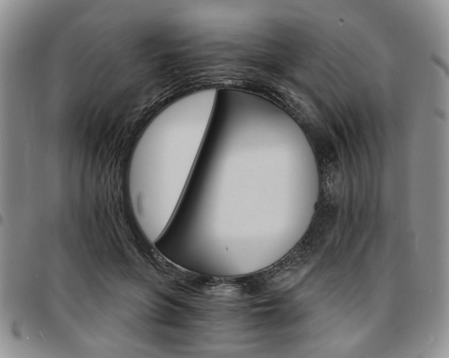 X0000097670551200802291503