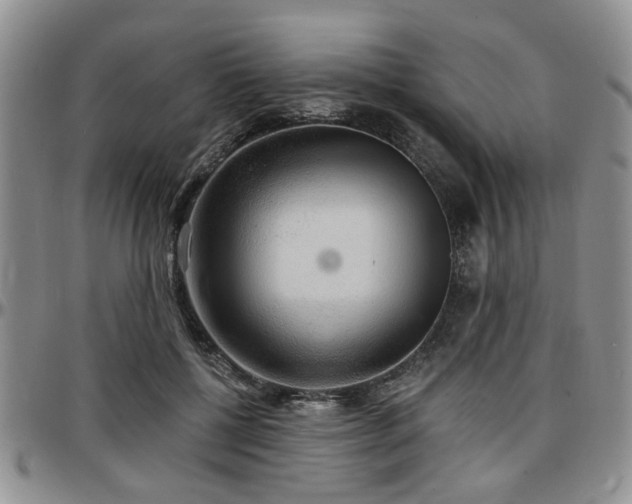 X0000097670552200802291503