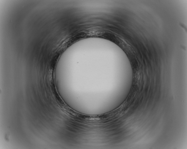 X0000097670554200802291503