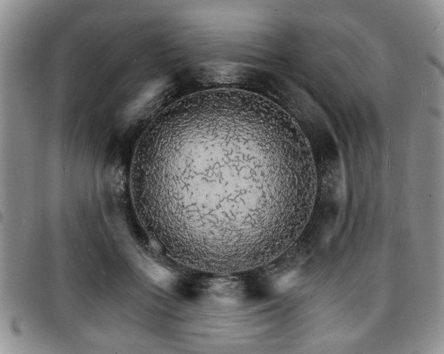 X0000097670555200802291503