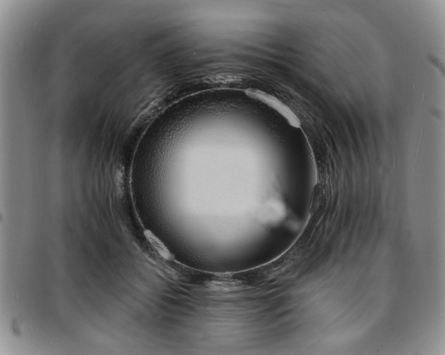 X0000097670556200802291503