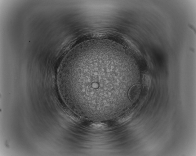 X0000097670557200802291503