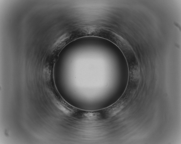 X0000097670558200802291503