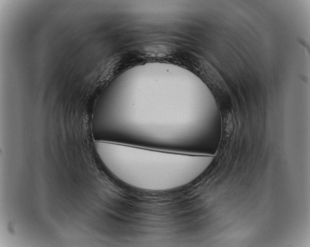 X0000097670559200802291503