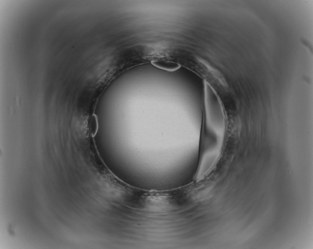 X0000097670560200802291503