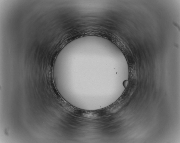 X0000097670561200802291503
