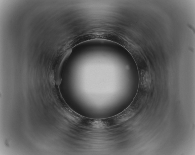 X0000097670562200802291503